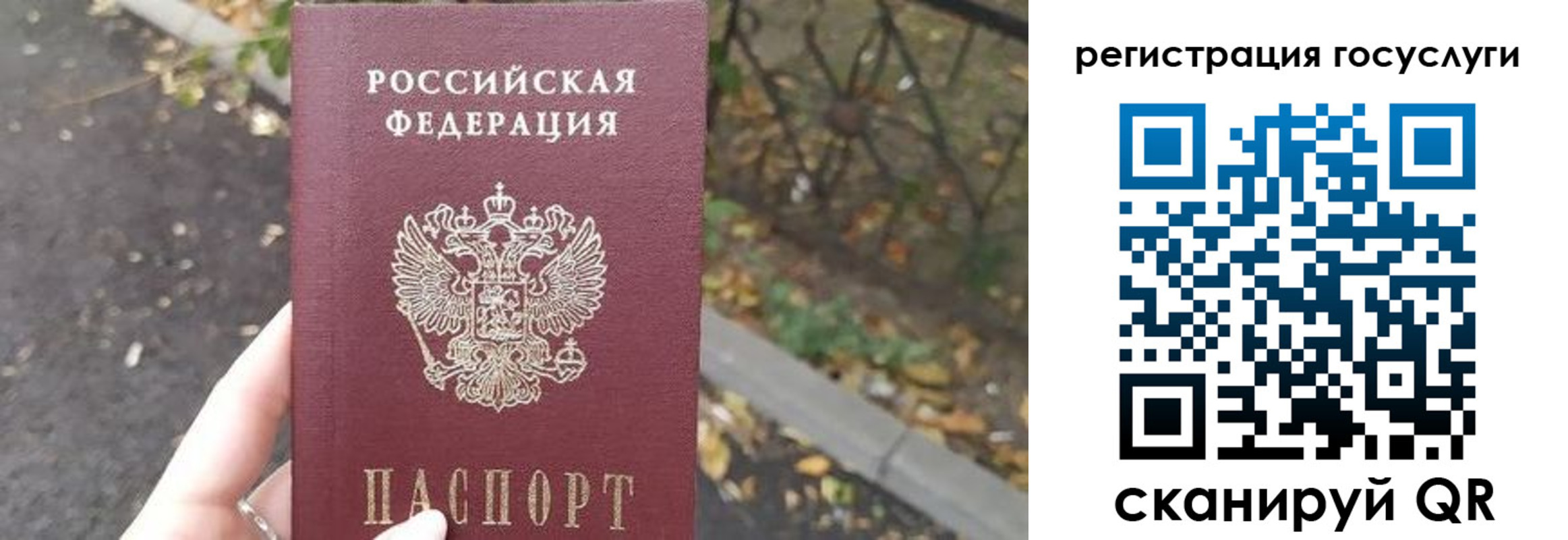 купить прописку в Каргате